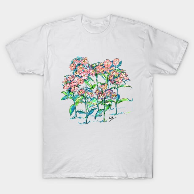 Sweet Williams Flowers color pencil T-Shirt by ShiningLightGallery